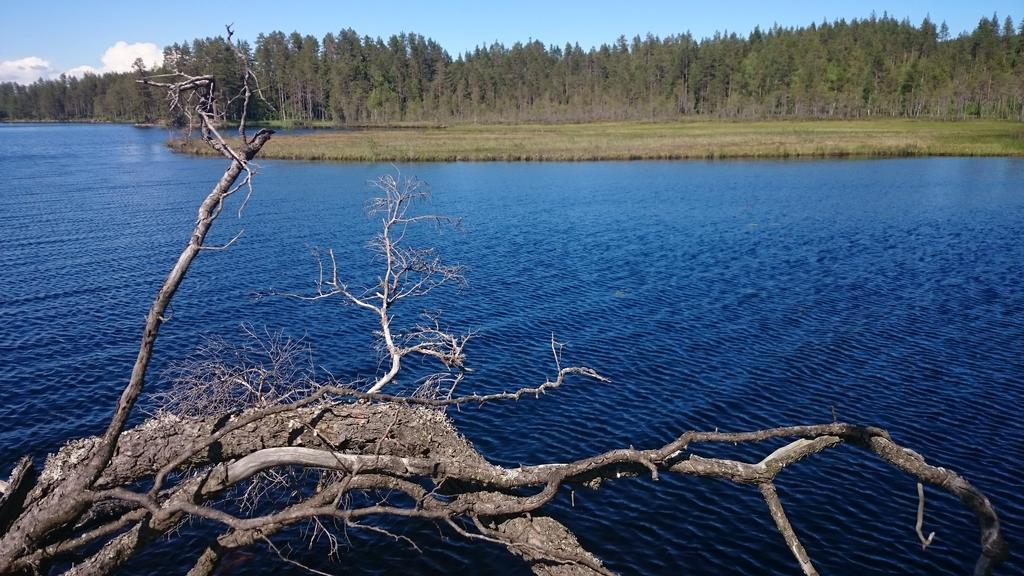 הוילה Gustavsstrom Vakantiehuis Lillstugan I Sverige מראה חיצוני תמונה